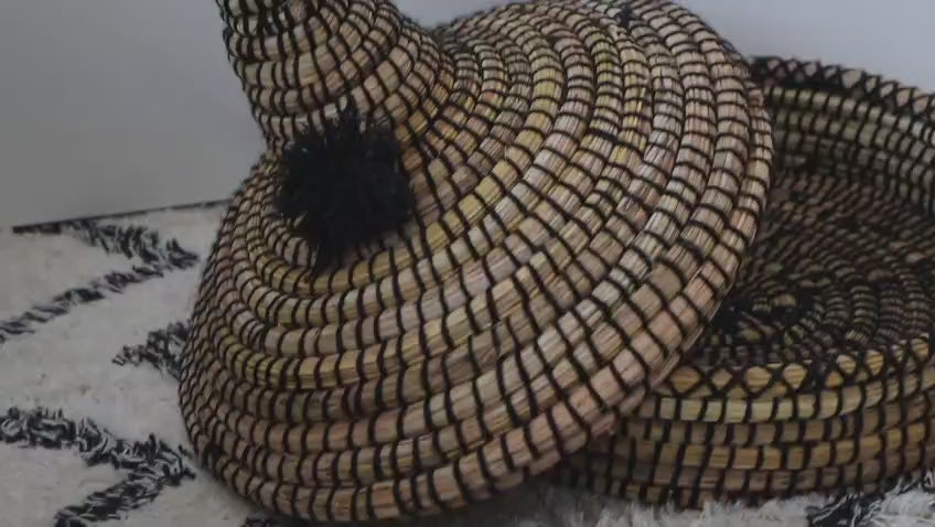 Tajin Beldi- Black
